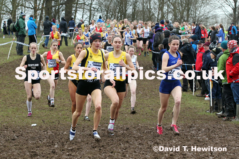 Womens under-20s, 2020 British Athletics Inter Counties Cross Country Champs., Prestwold Hall, Loughborough. Photo: David T. Hewitson/Sports for All Pics
